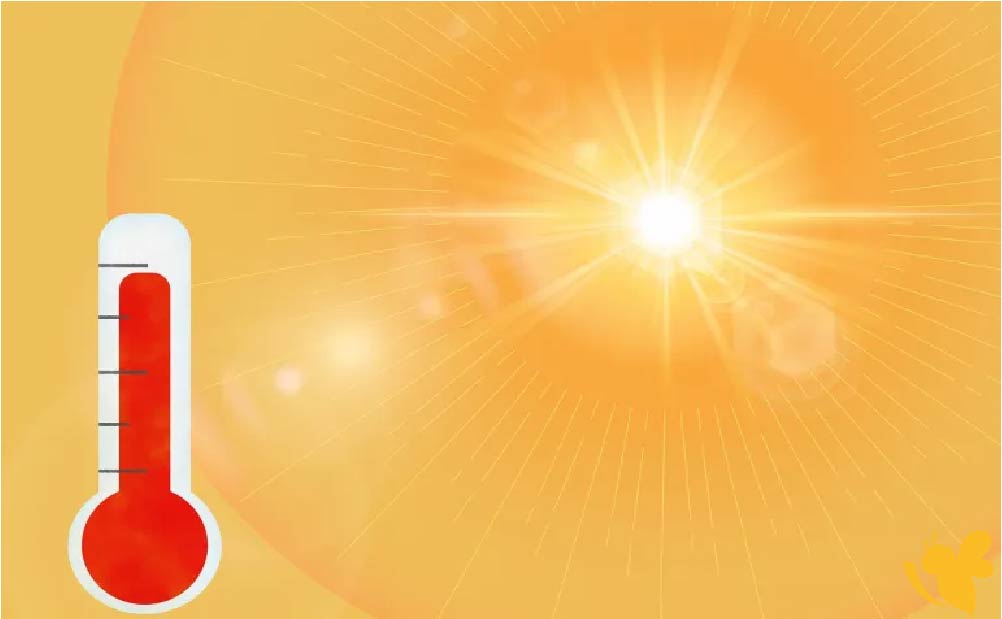 طقس اليمن اليوم.. أجواء مستقرة في معظم المحافظات طقس اليمن اليوم.. أجواء مستقرة في معظم المحافظات