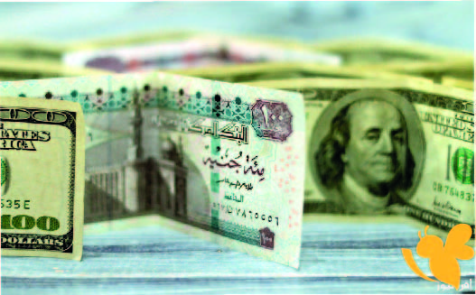 استقرار نسبي في أسعار صرف الجنيه المصري مقابل الدولار اليوم الاول من مايو