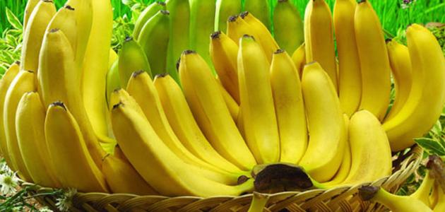 فاكهة الموز&hellip; أسرار مذهلة لصحة المعدة والهضم