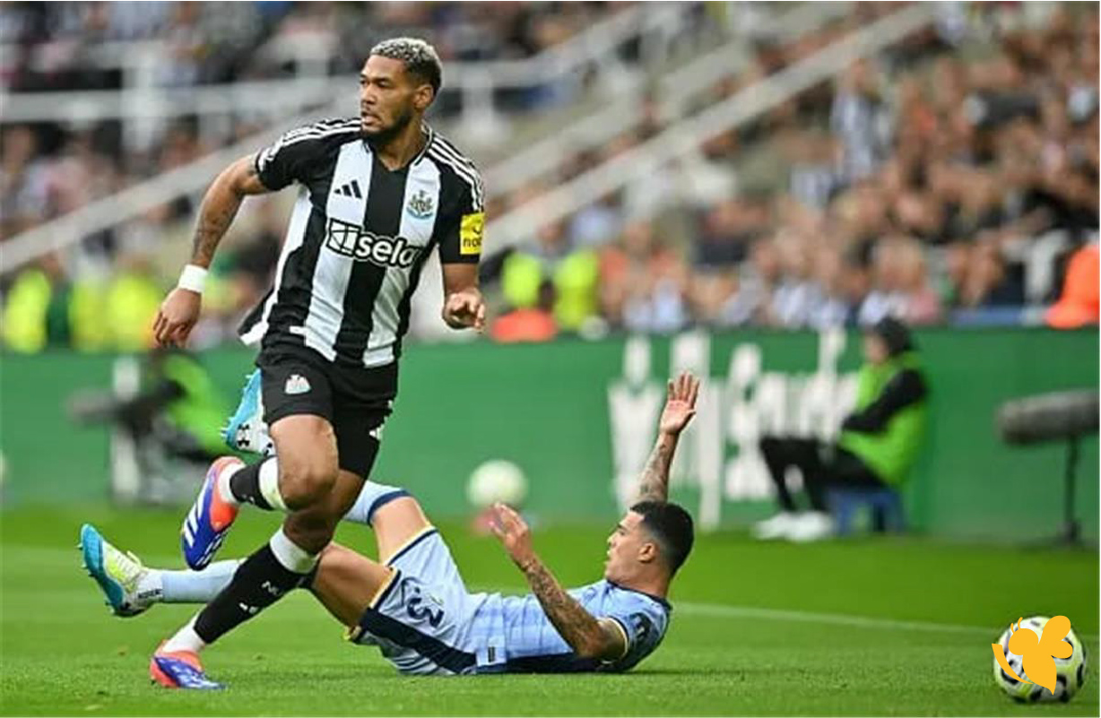 تفاصيل البث المباشر لمباراة نيوكاسل ضد توتنهام اليوم في الدوري الانجليزي بدقة عالية تفاصيل البث المباشر لمباراة نيوكاسل ضد توتنهام اليوم في الدوري الانجليزي بدقة عالية