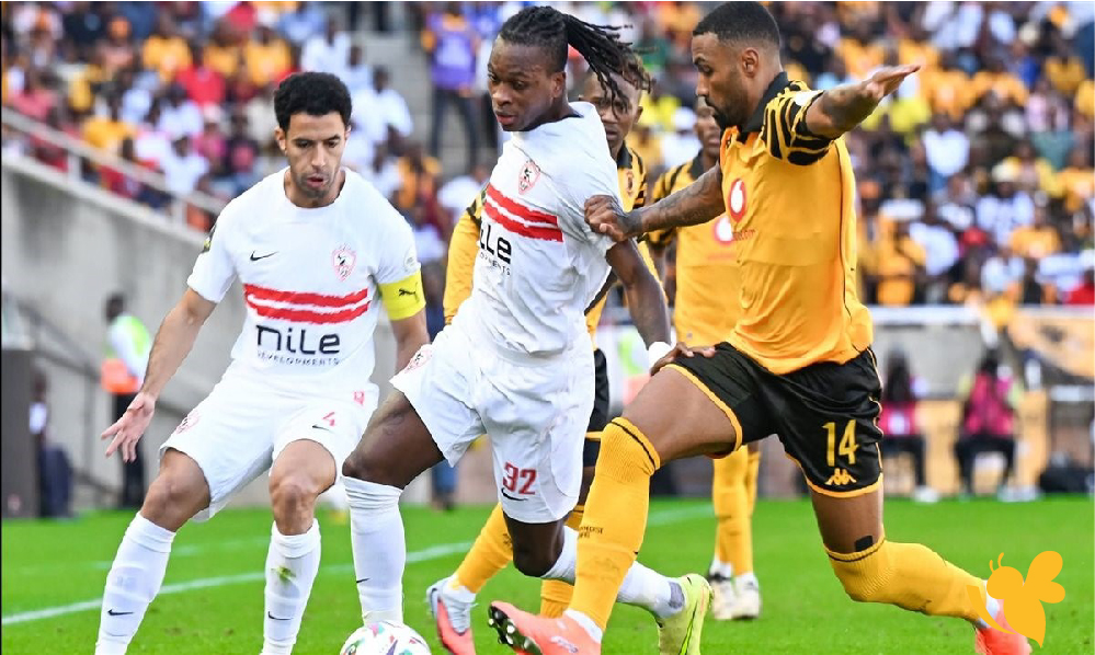 مواجهة مرتقبة.. الزمالك أمام كهرباء الإسماعيلية في الدوري الممتاز مواجهة مرتقبة.. الزمالك أمام كهرباء الإسماعيلية في الدوري الممتاز