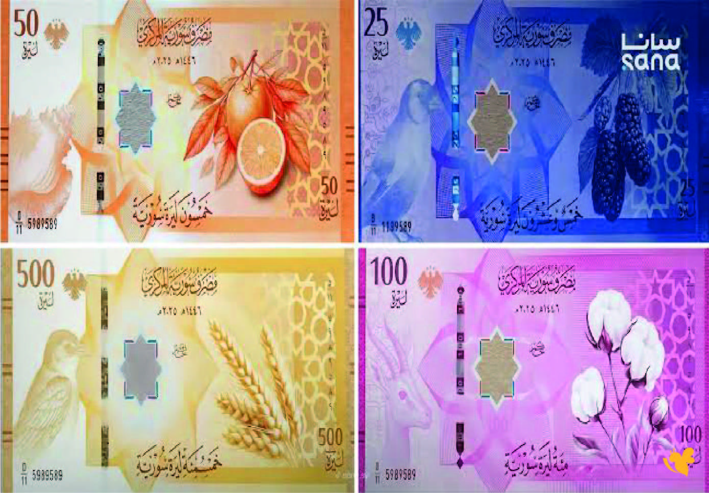 هل سوق الصرف في سوريا اليوم حالة من الاستقرار؟ شاهد التفاصيل اليوم 5 سبتمبر