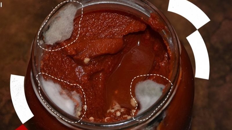 لا تأكل من الجرة بعد ظهور العفن.. حتى لو أزلته بالكامل