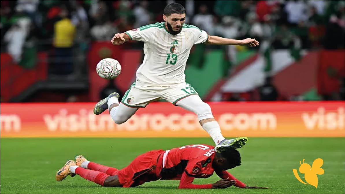 الجزائر ضد الكونغو الديمقراطية.. موعد المباراة والقنوات الناقلة في كأس أمم أفريقيا 2025