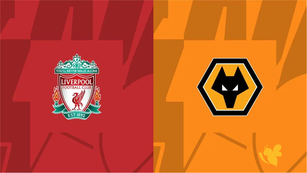 شاهد مباراة وولفرهامبتون ضد ليفربول في&nbsp;بطولة كأس الاتحاد الإنجليزي live online