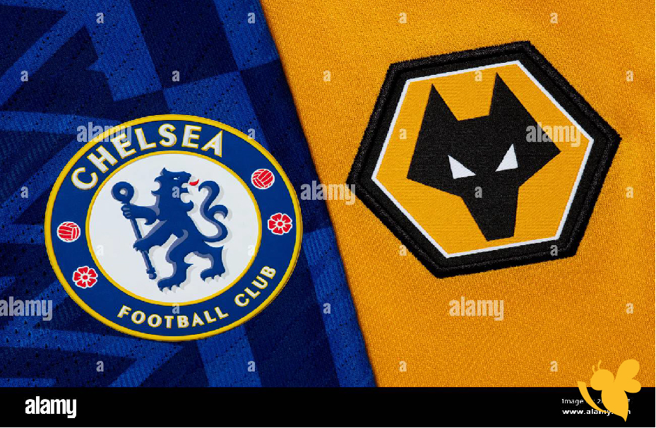 تابع مباراة تشيلسي ضد وولفرهامبتون مباشر اليوم &ndash; الدوري الإنجليزي الممتاز 2026