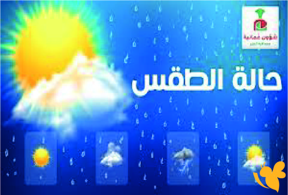 طقس السعودية اليوم.. درجات الحرارة وأهم التحذيرات للسائقين