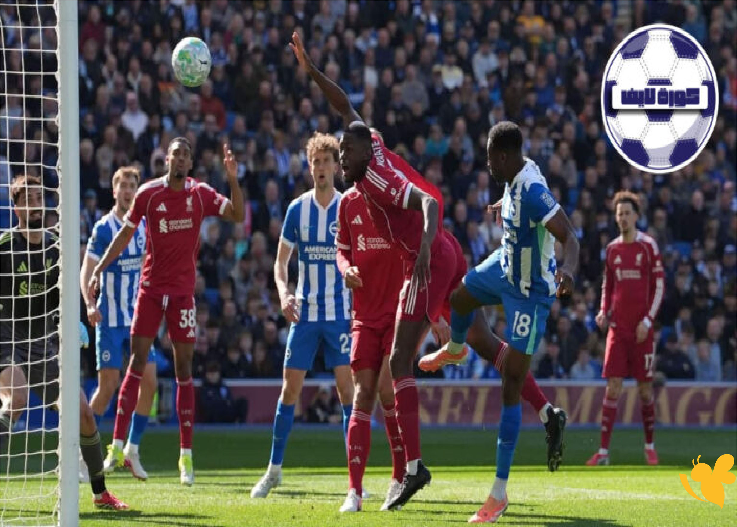 اليكم رابط بث مباشر مباراة وولفرهامبتون ضد وست هام في الدوري الإنجليزي 2026 اليكم رابط بث مباشر مباراة وولفرهامبتون ضد وست هام في الدوري الإنجليزي 2026