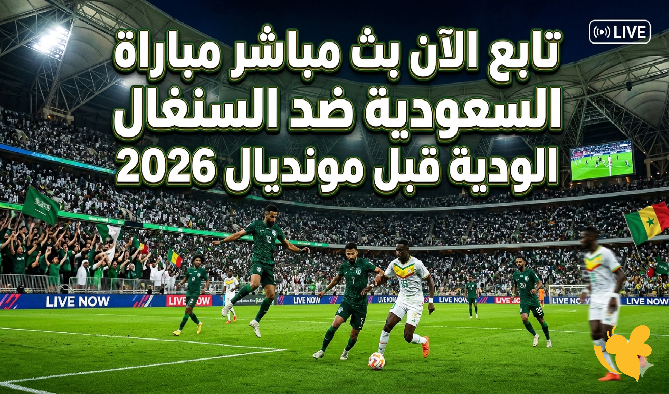 تابع الآن بث مباشر مباراة السعودية ضد السنغال الودية قبل مونديال 2026 تابع الآن بث مباشر مباراة السعودية ضد السنغال الودية قبل مونديال 2026