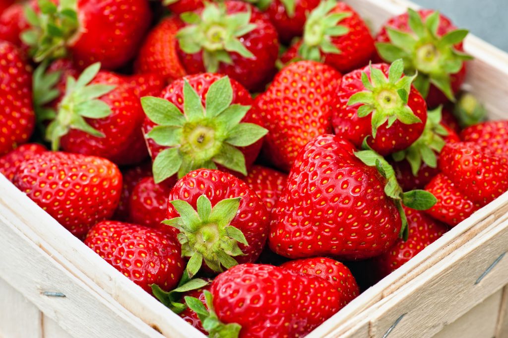 قبل أن تأكل الفراولة... طبيب يوضح خطأ شائعاً قد يضر صحتك