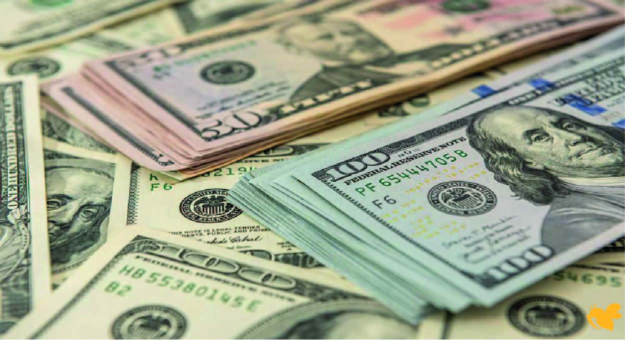 أسعار صرف الجنية المصري مقابل الدولار اليوم الاحد 11 يناير