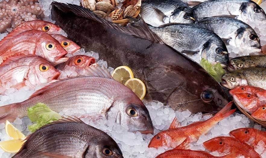من البشرة للقلب.. فوائد لا تُحصى لتناول الأسماك