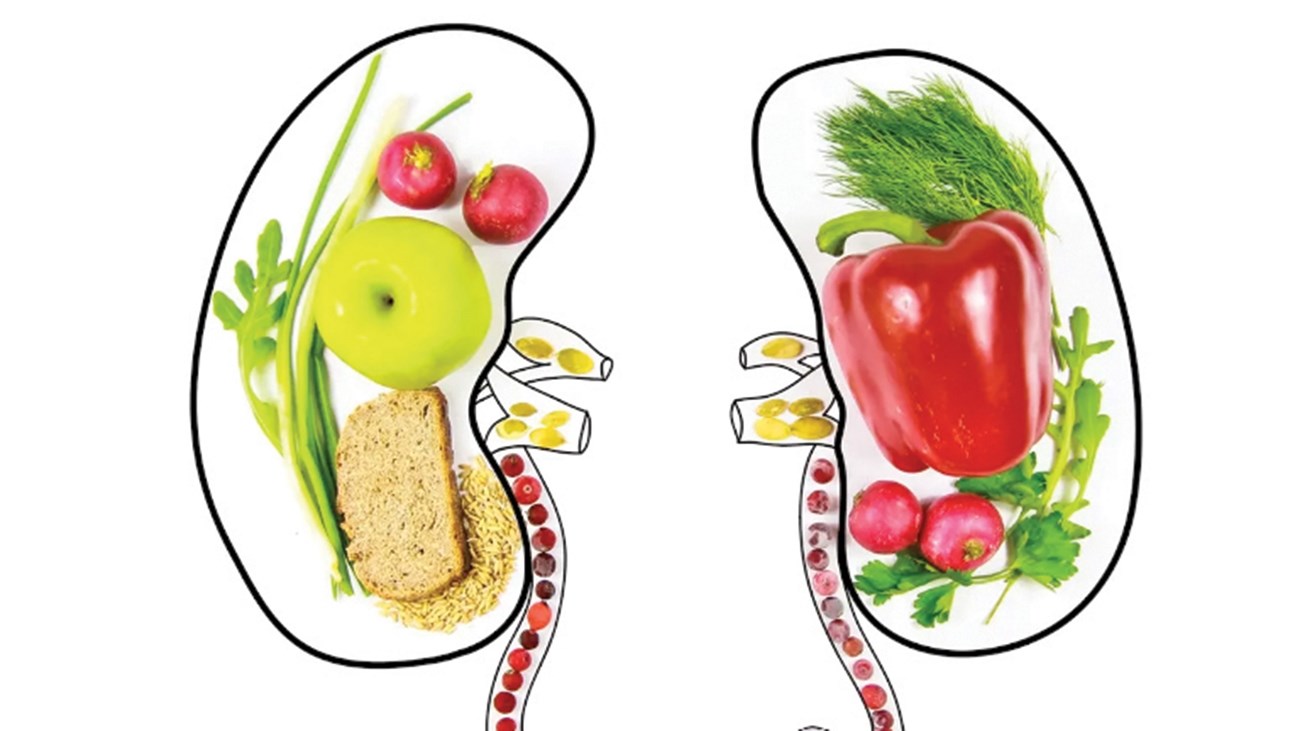 عادات يومية تضمن لك كلى قوية مدى الحياة