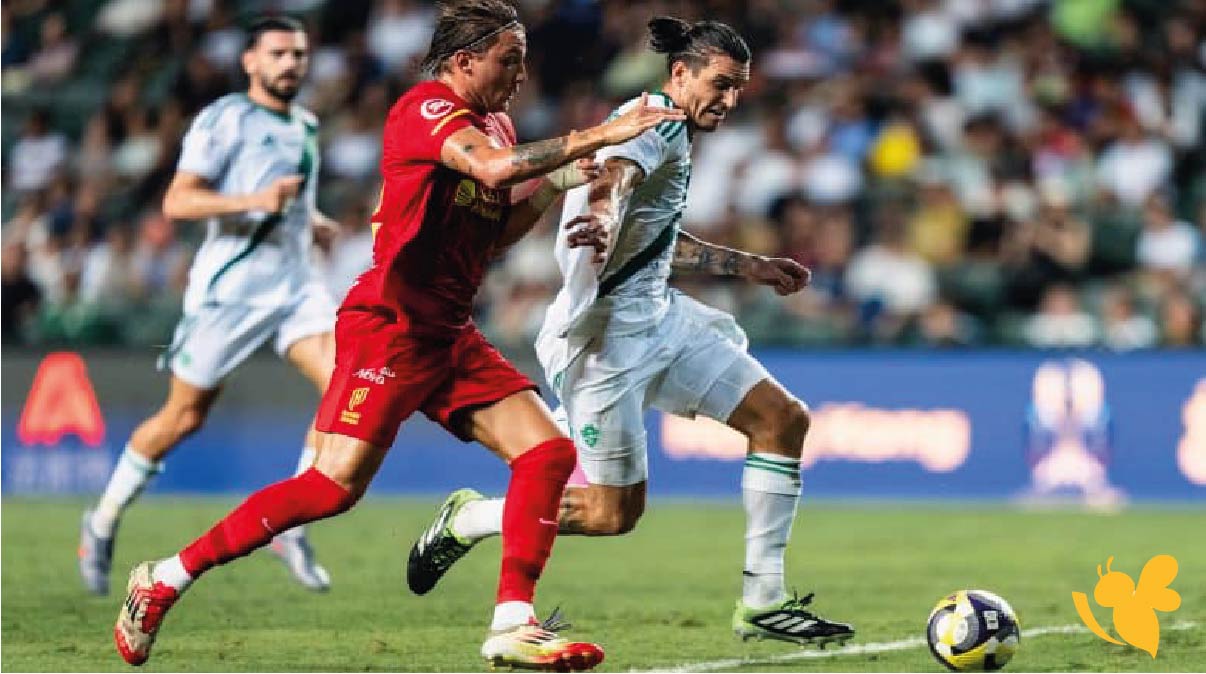 القادسية ضد نيوم: موعد المباراة والقنوات الناقلة في الدوري السعودي الجولة 22