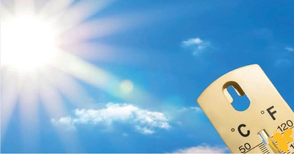 حالة الطقس اليوم في مصر.. انخفاض طفيف بالحرارة وأجواء خريفية معتدلة على أغلب الأنحاء حالة الطقس اليوم في مصر.. انخفاض طفيف بالحرارة وأجواء خريفية معتدلة على أغلب الأنحاء