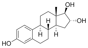 علاقة مفاجئة بين الإستروجين والدوبامين تفسر اختلاف قدرات التعلم بين الجنسين