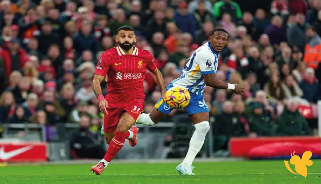 Yalla Shoot&nbsp;مشاهدة مباراة ليفربول ضد برايتون اليوم في الدوري الإنجليزي بدون اشتراك&nbsp;