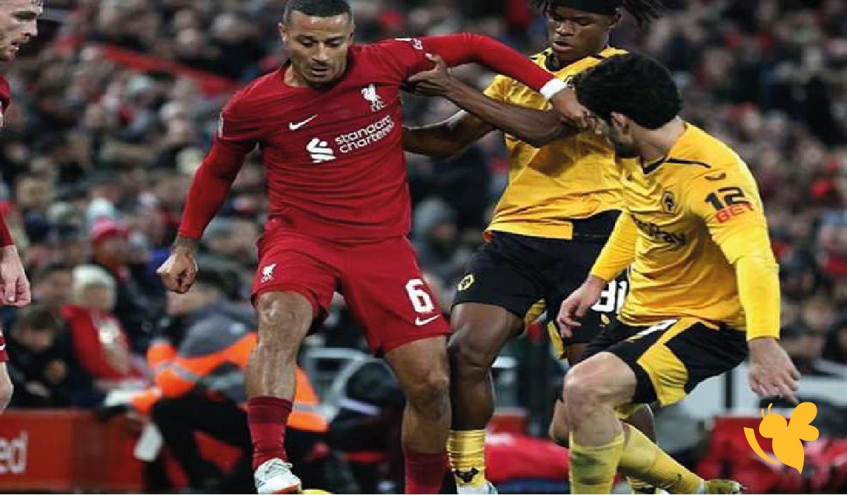 القنوات الناقلة المجانية لمشاهدة مباراة ليفربول ضد برايتون اليوم