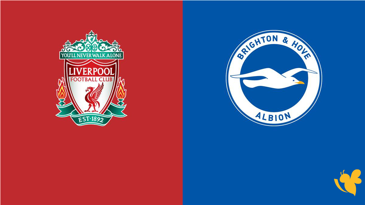 koora online 365 شاهد مباراة ليفربول ضد برايتون اليوم في الدوري الإنجليزي 2025