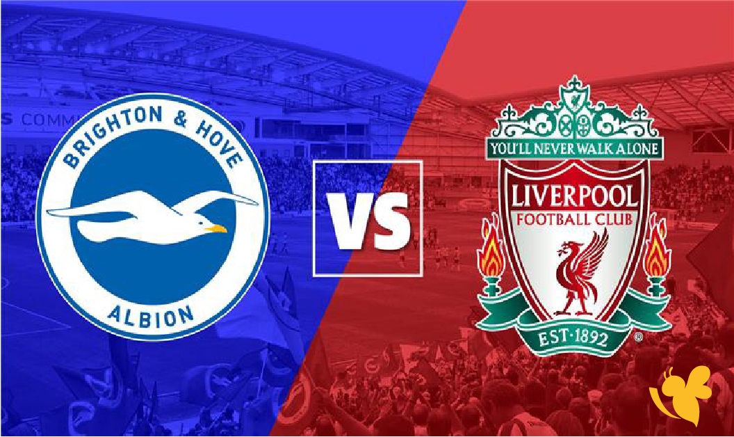 مشاهدة بث مباشر لمباراة ليفربول ضد برايتون اليوم في كأس الاتحاد الإنجليزي 2026