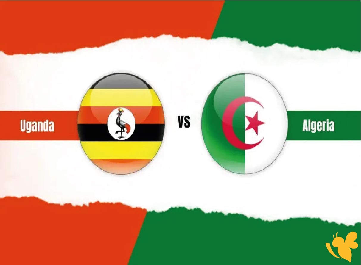 Yalla kora شاهد مباراة الجزائر ضد أوغندا من تصفيات كأس العالم 2026