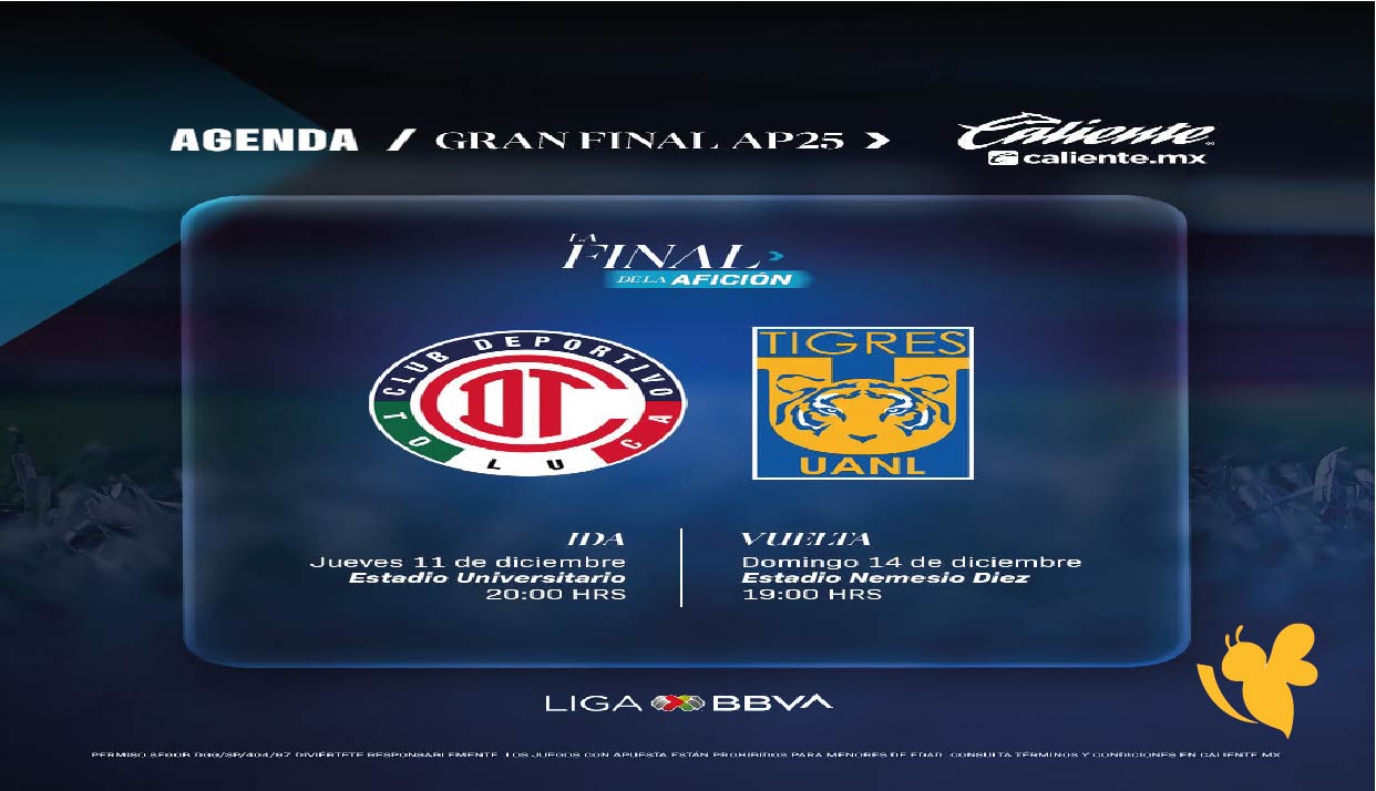 رابط البث المباشر لمباراة تولوكا ضد تيغريس في إياب نهائي الدوري المكسيكي رابط البث المباشر لمباراة تولوكا ضد تيغريس في إياب نهائي الدوري المكسيكي