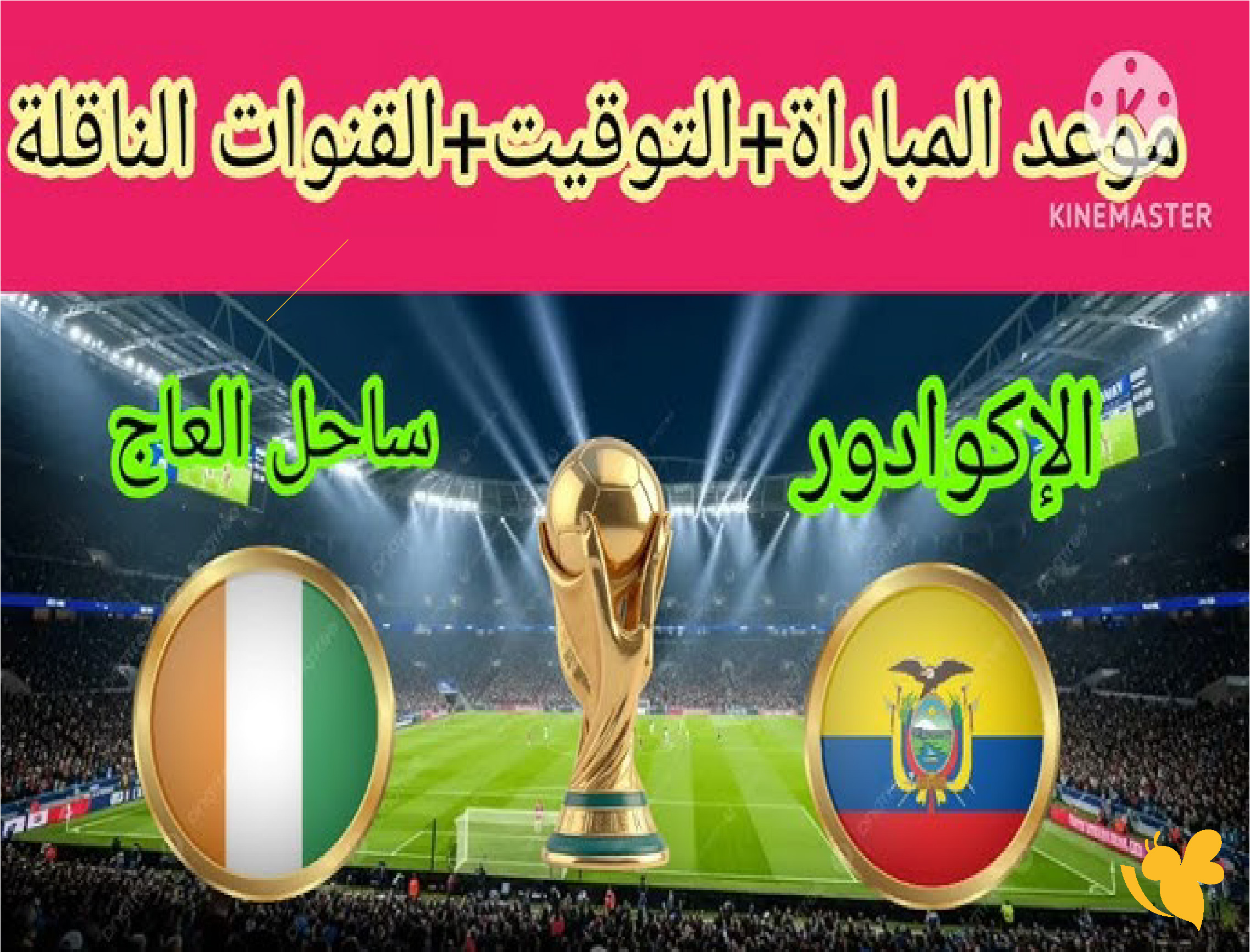 موقع يلا لايف شاهد مباراة ساحل العاج ضد الإكوادور في كأس العالم 2026&nbsp;