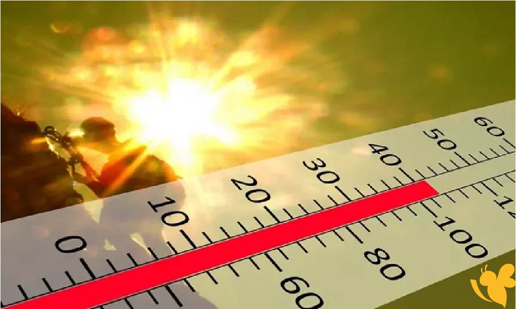 طقس اليوم الأحد 16-2-2026 في اليمن: صحو وبارد في الجبال