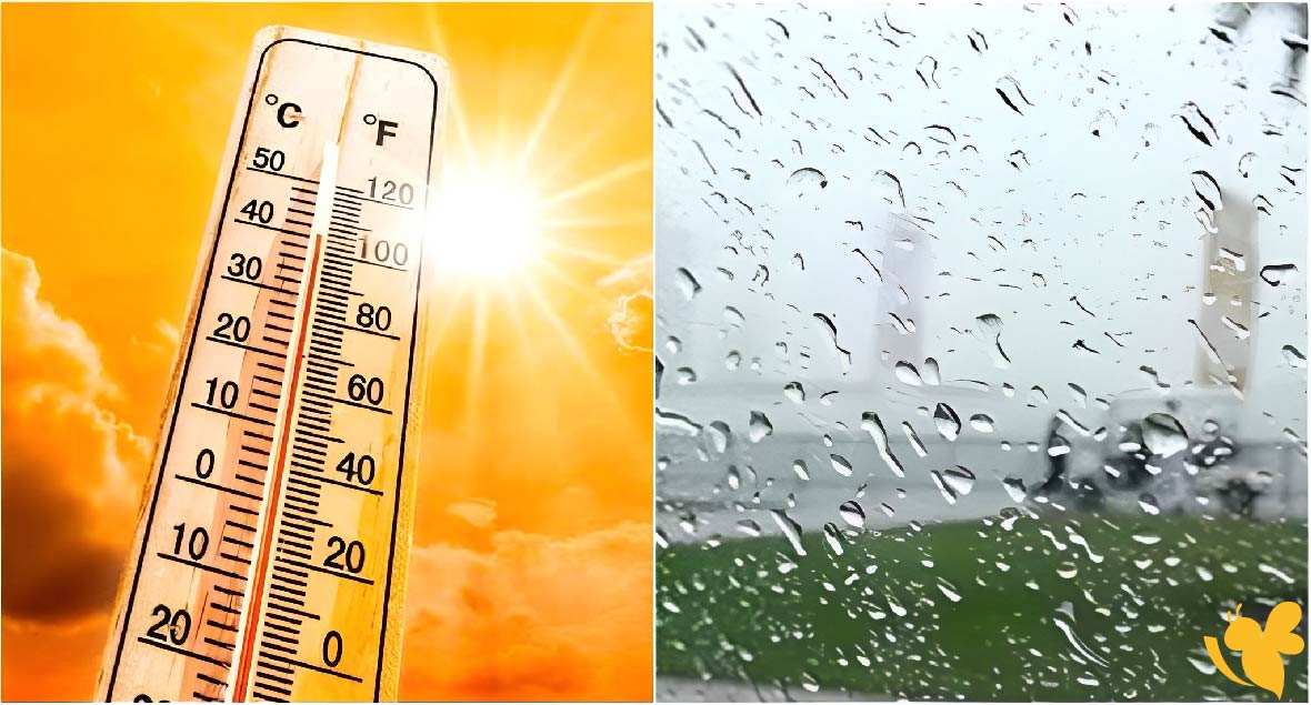 الأرصاد: أجواء حارة إلى شديدة الحرارة تضرب اليمن اليوم مع أمطار رعدية