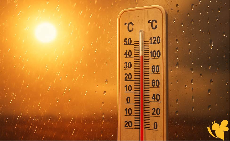 اليمن اليوم: طقس مستقر مع تحذيرات من الأجواء الباردة في الجبال