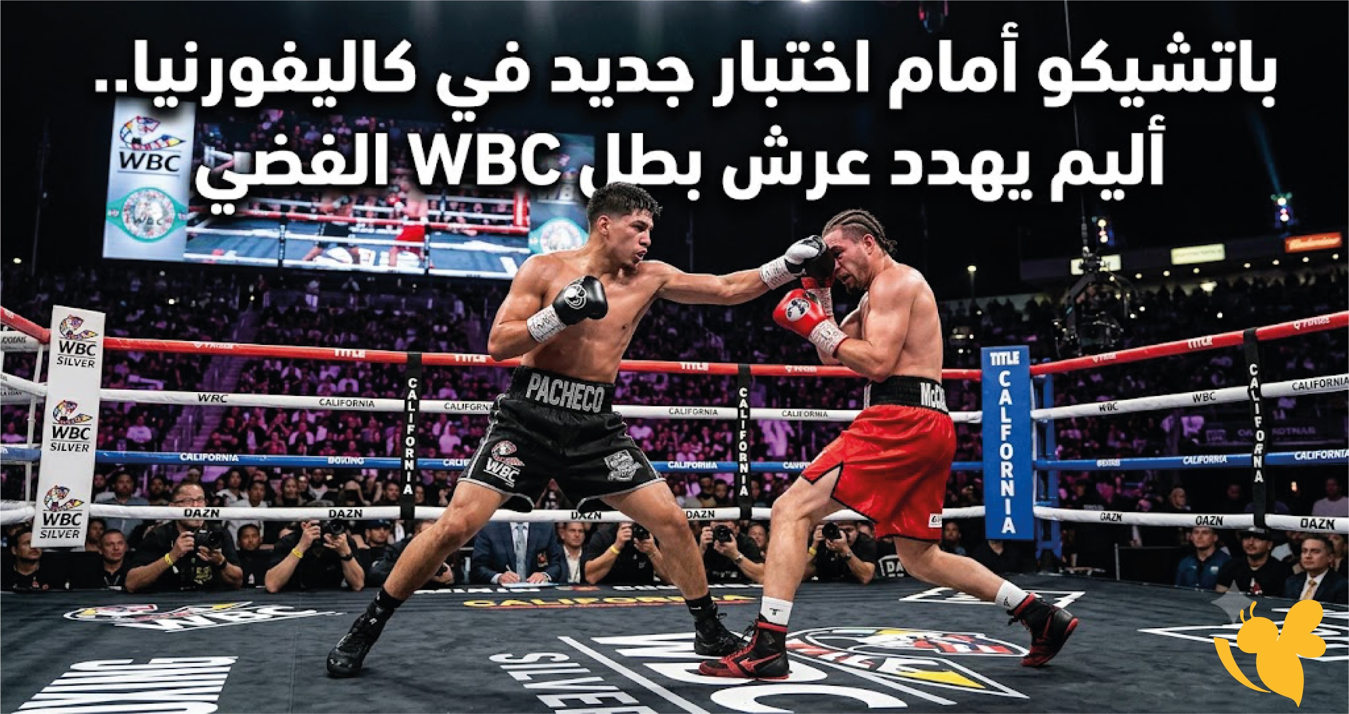 باتشيكو أمام اختبار جديد في كاليفورنيا أليم يهدد عرش بطل WBC الفضي باتشيكو أمام اختبار جديد في كاليفورنيا أليم يهدد عرش بطل WBC الفضي