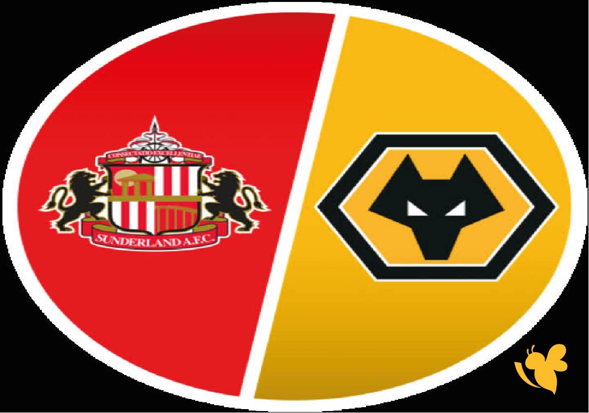 مشاهدة مباراة سندرلاند ووولفرهامبتون اليوم في الدوري الإنجليزي الممتازعبر يلا شوت