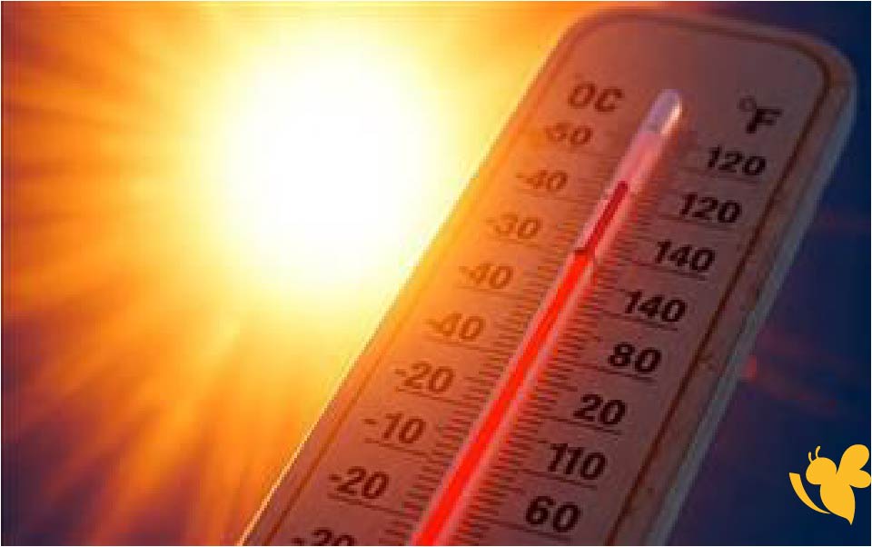 برودة وأمطار محتملة.. حالة الطقس في اليمن