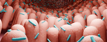 حمض البرولين في الطعام قد يرتبط بالاكتئاب