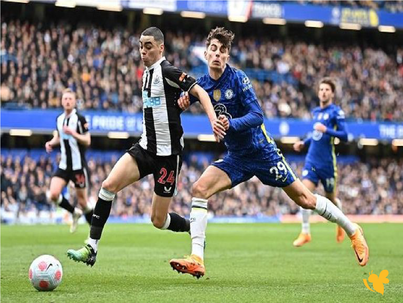مواجهة مرتقبة: نيوكاسل يونايتد ضد تشيلسي في الجولة السابعة عشرة