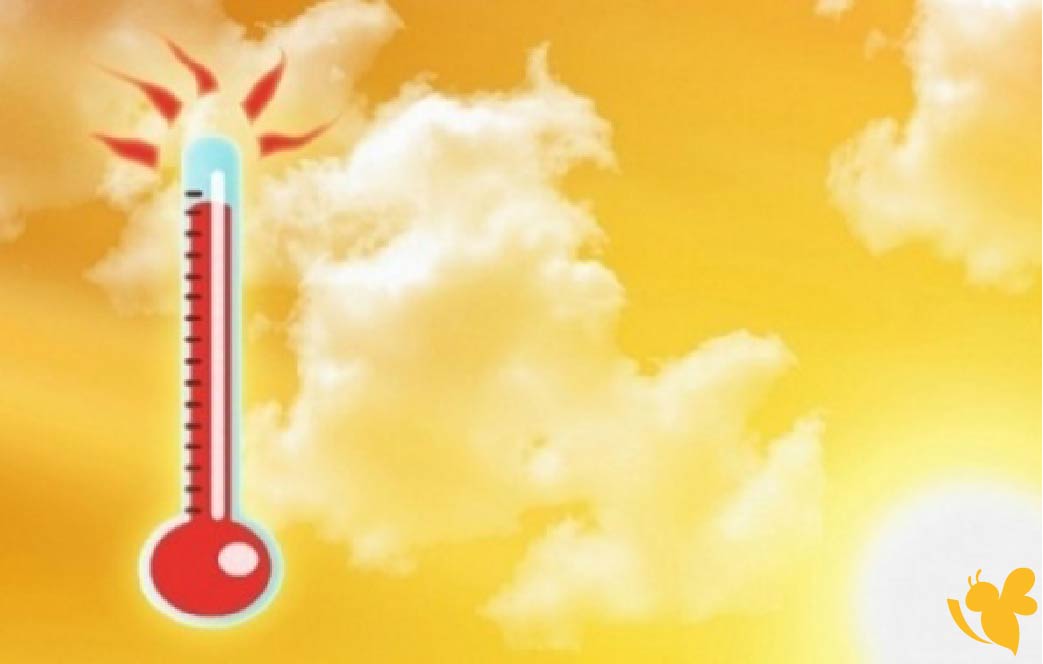 الأرصاد تحذر.. موجة حر قوية تضرب السعودية اليوم مع فرص أمطار رعدية
