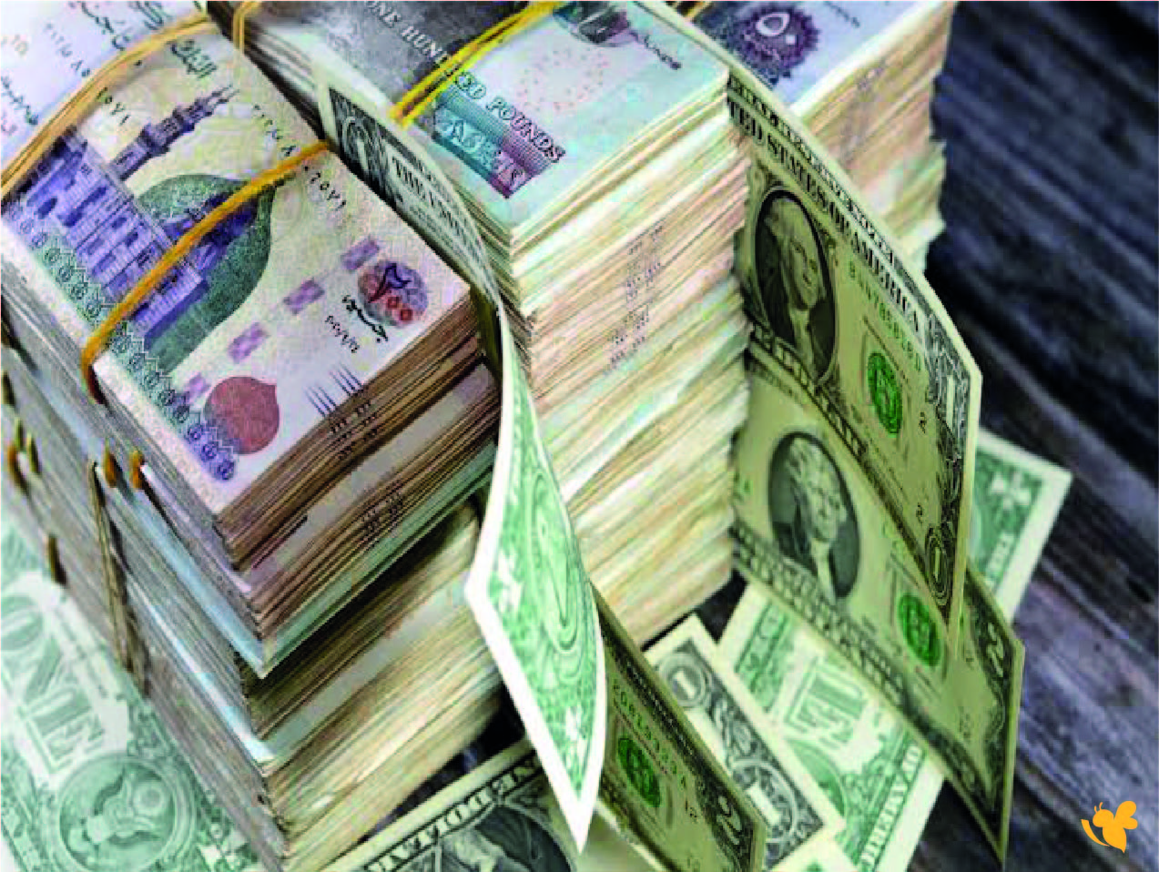ارتفاع كبير ويتخطى حاجز الـ54 جنيها ..للجنية المصري مقابل الدولار اليوم 20 أكتوبر