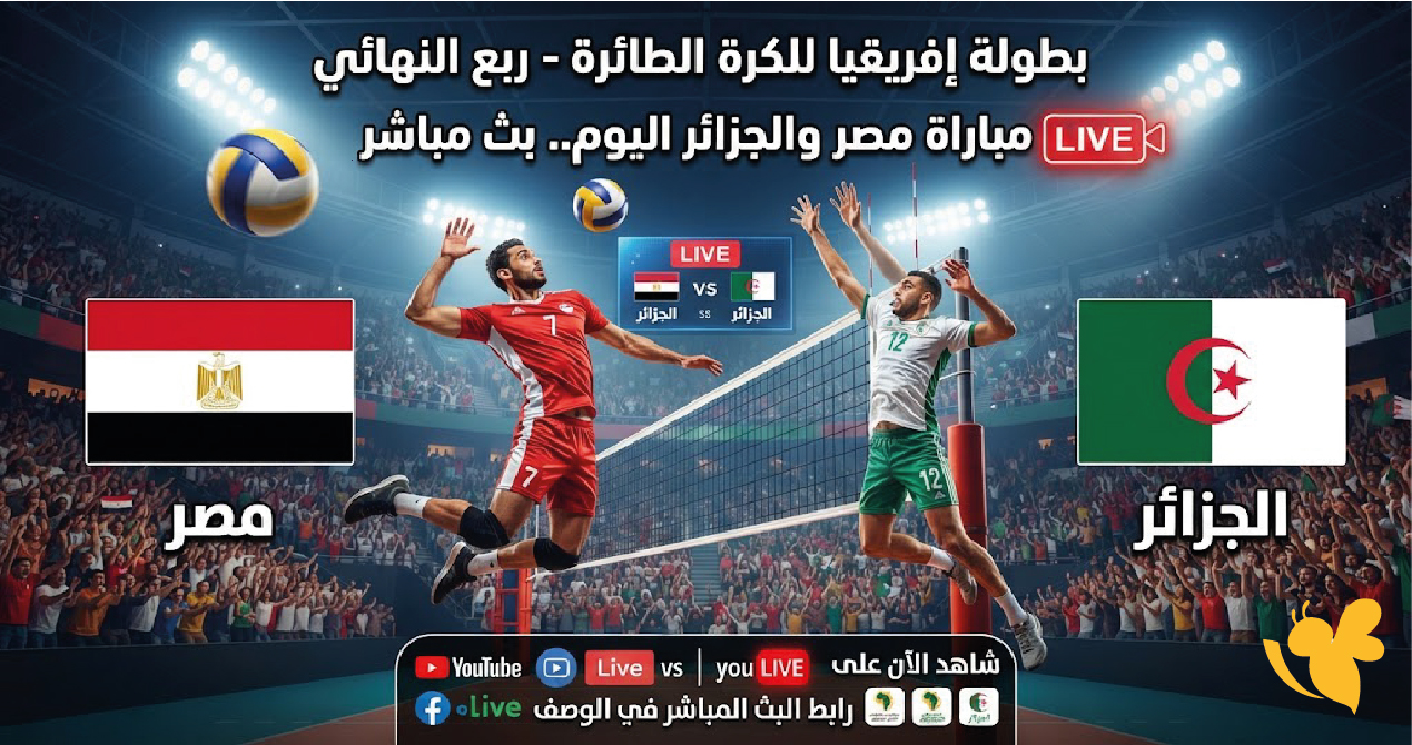 رابط بث مباشر مباراة مصر والجزائر اليوم.. مشاهدة ربع نهائي إفريقيا للكرة الطائرة