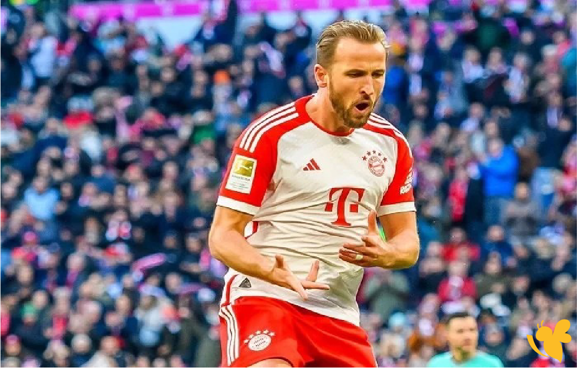 حصرياً البث المباشر لمباراة بايرن ميونخ ضد هايدنهايم&nbsp;في الدوري الألماني&nbsp;