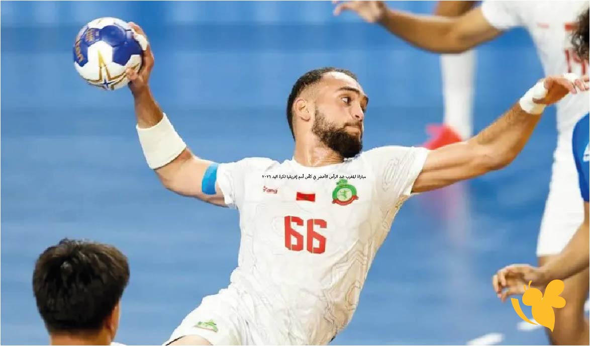 شاهد البث المباشر لمباراة المغرب ضد الرأس الأخضر في كأس أمم إفريقيا لكرة اليد 2026