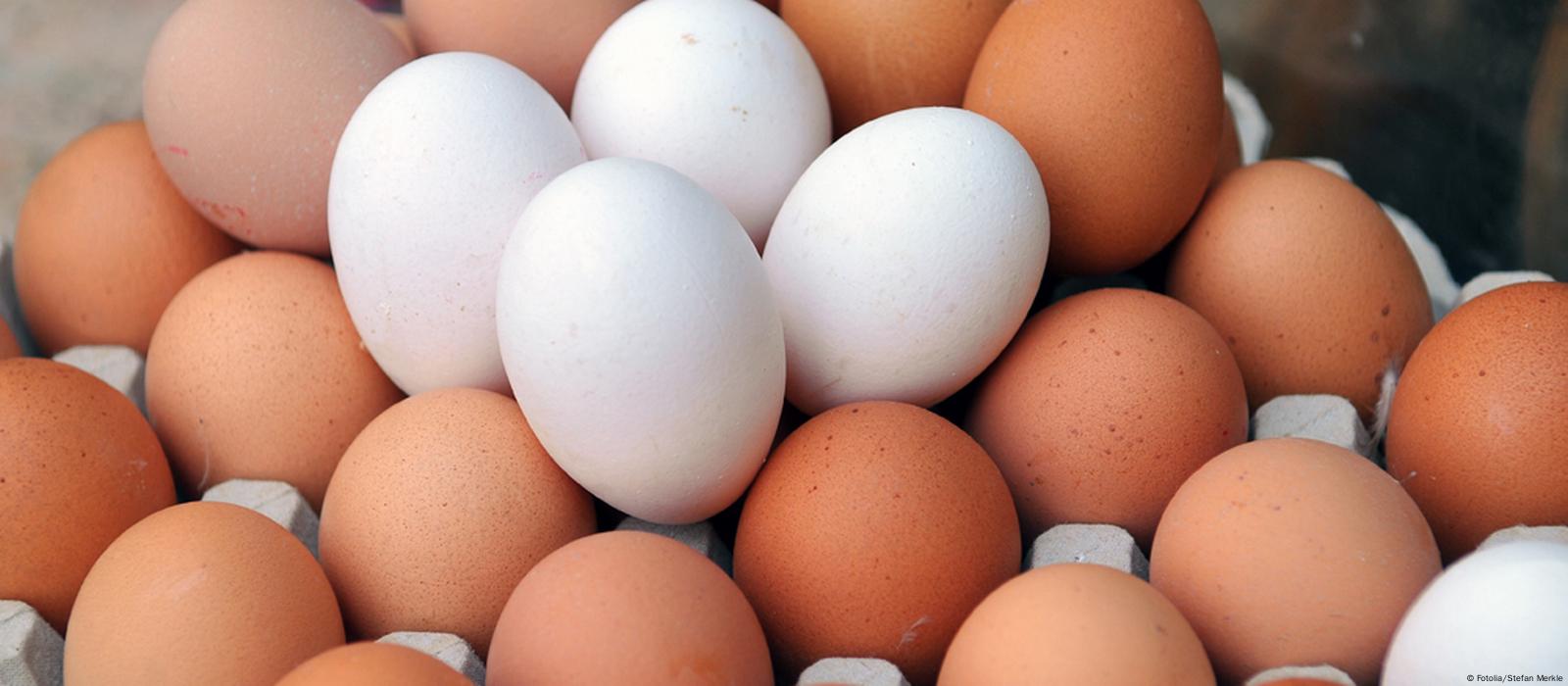 هل يختلف البيض البني عن الأبيض؟ الحقيقة وراء القيمة الغذائية