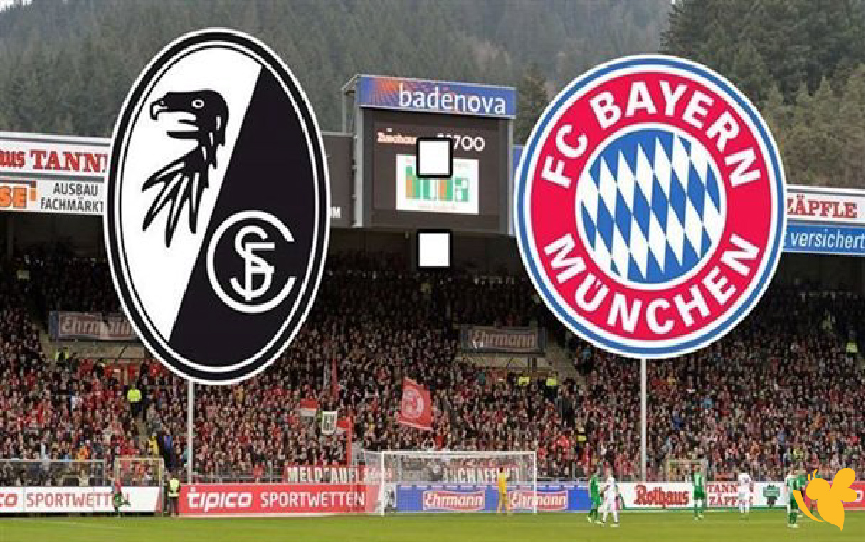 الليلة شاهدوا مباراة بايرن ميونخ ضد فرايبورغ بث مباشر بجودة فائقة في&nbsp;الدوري الألماني