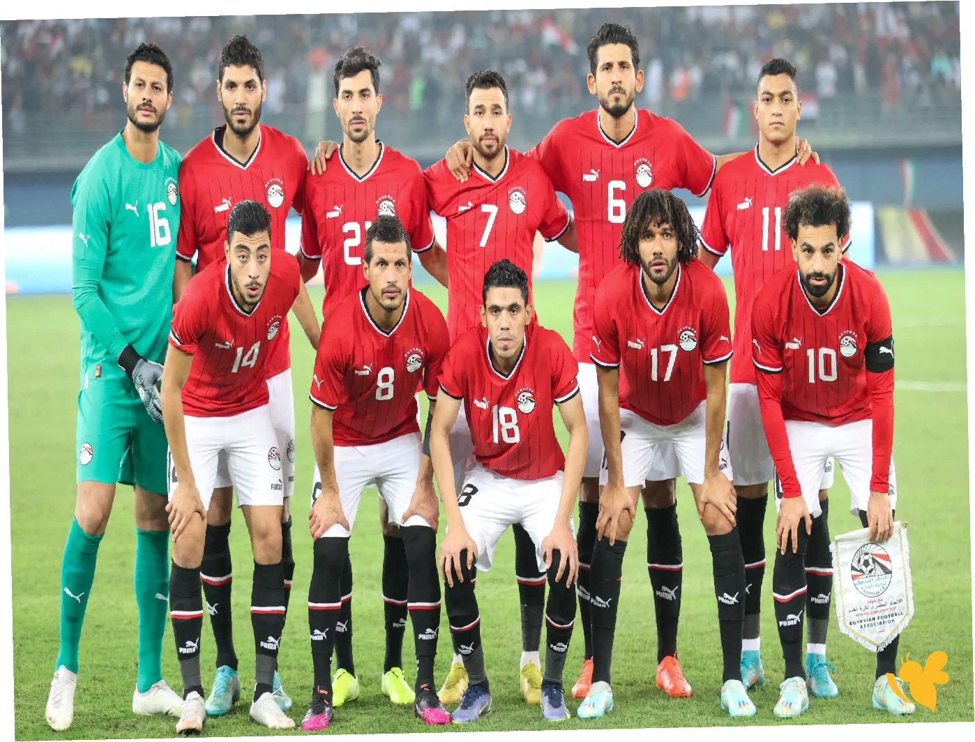 live online شاهد مباراة مصر ضد زيمبابوي&nbsp;في كأس أمم أفريقيا اليوم 2025