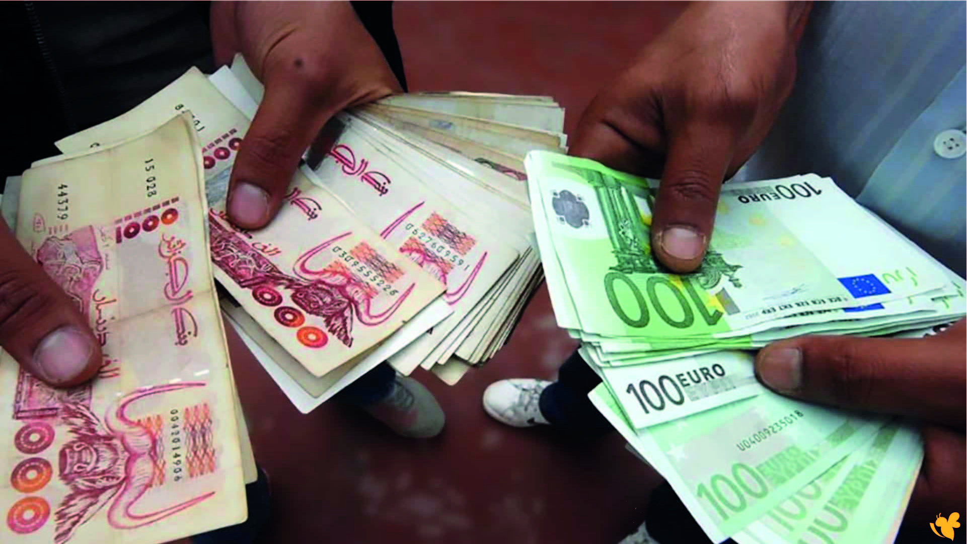 استقرار وتذبذب طفيف في أسعار صرف الدينار الجزائري مقابل الدولار اليوم الأحد 23 نوفمبر 2025