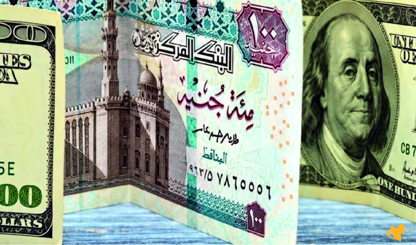 قفزة تاريخية جديدة متجاوزاً حاجز الـ 55 جنيهاً..في البنوك المصرية اليوم 24 أكتوبر قفزة تاريخية جديدة متجاوزاً حاجز الـ 55 جنيهاً..في البنوك المصرية اليوم 24 أكتوبر