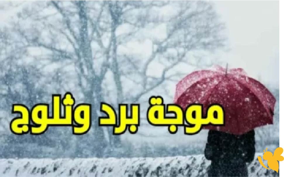 طقس اليمن اليوم.. أجواء مستقرة ودرجات حرارة معتدلة في المحافظات الجنوبية