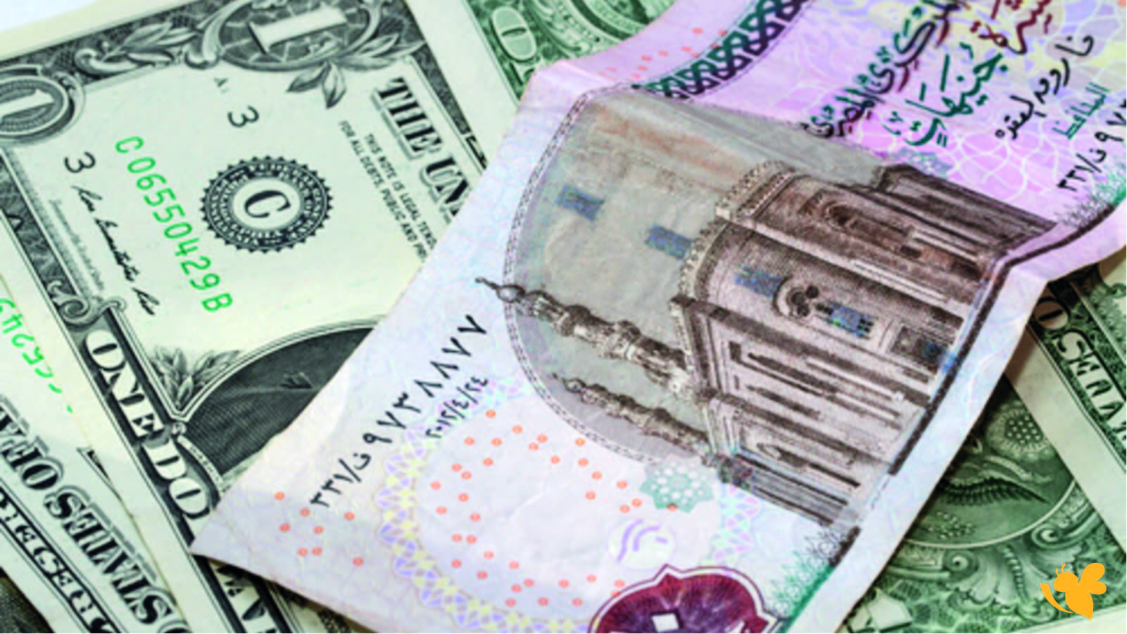 استقرار إيجابي في أسعار صرف الجنية المصري مقابل الدولار اليوم 25 يونيو