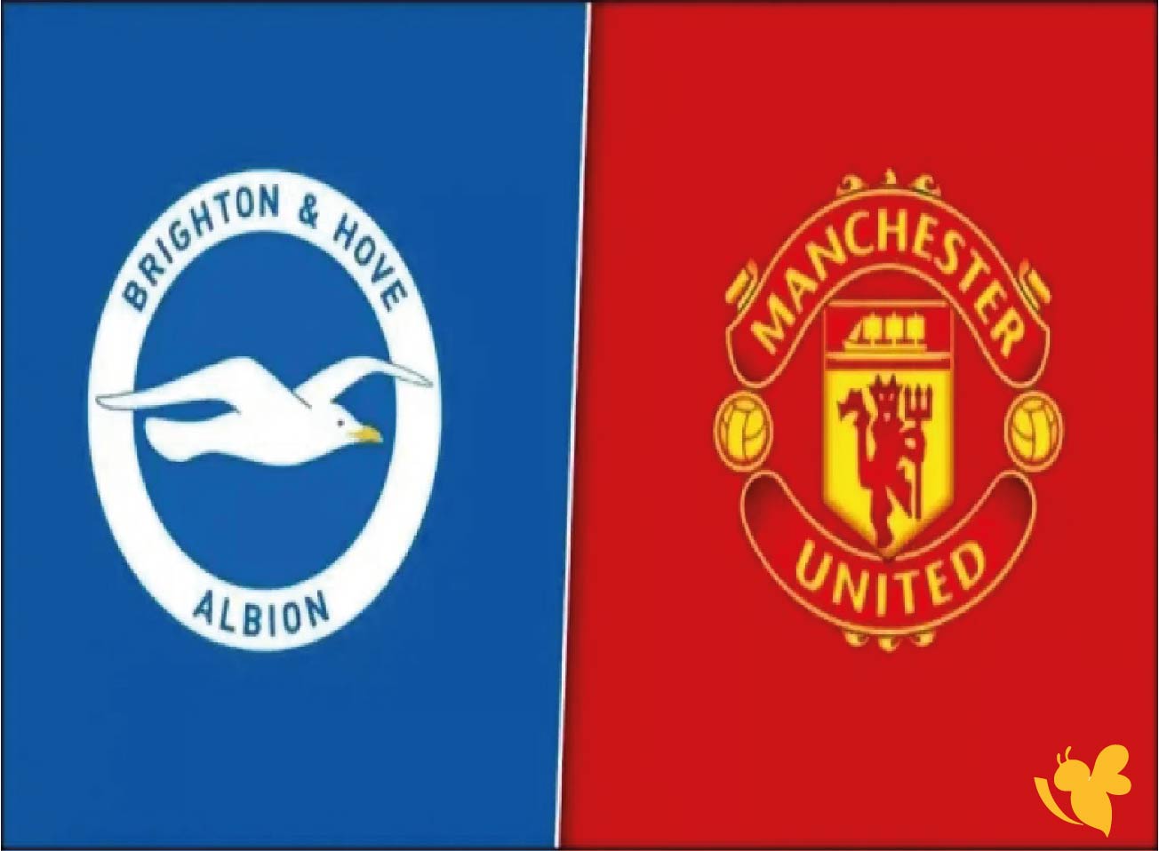 شاهد عبر يلا لايف مباراة مانشستر يونايتد ضد برايتون في&nbsp;الدوري الإنجليزي