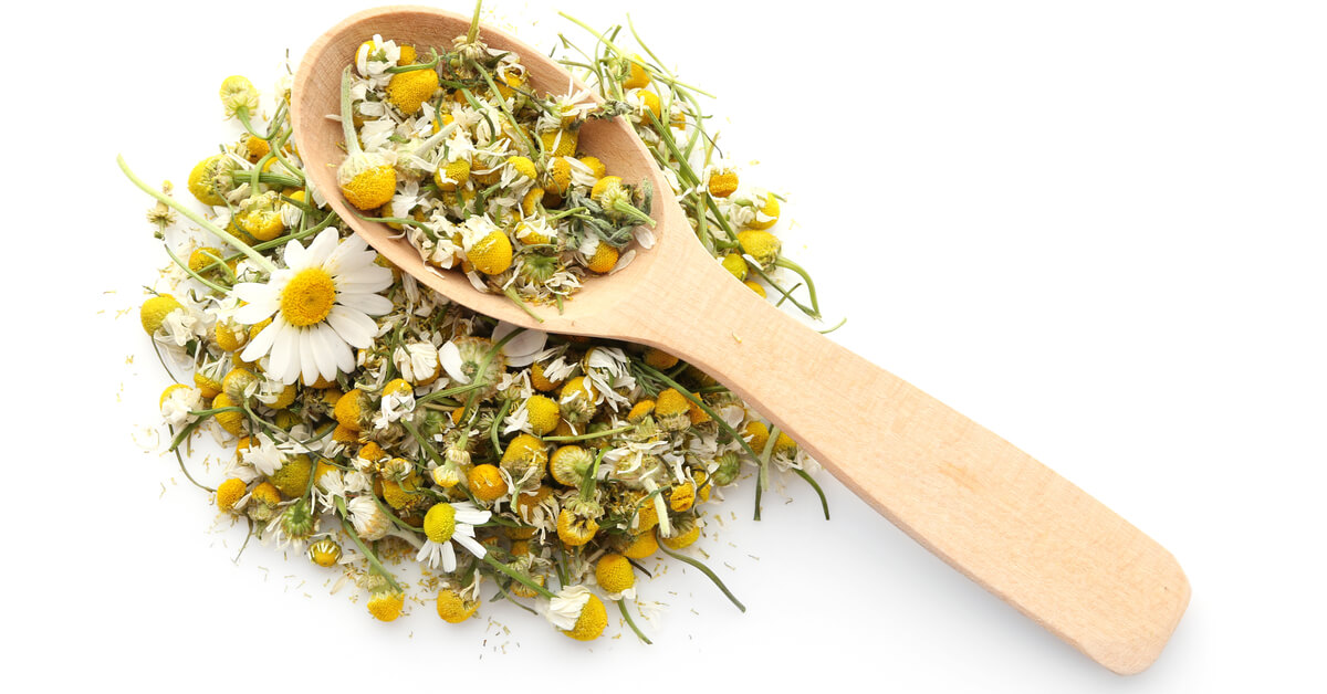 أضرار المبالغة في شرب شاي البابونج