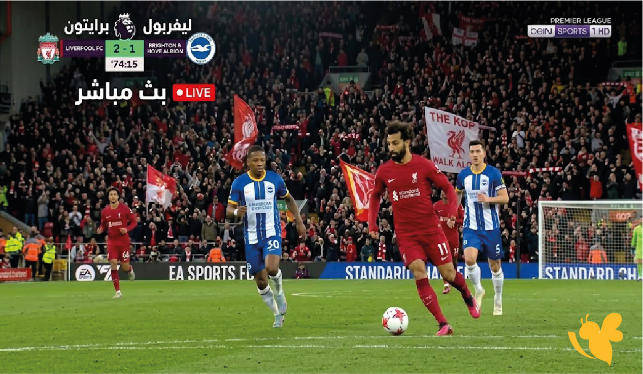 ليفربول ضد برايتون بث مباشر اليوم.. الموعد والقنوات الناقلة للمواجهة ليفربول ضد برايتون بث مباشر اليوم.. الموعد والقنوات الناقلة للمواجهة